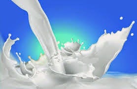 Are All Milks Created Equal?
