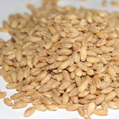 Benefits to Barley and Buckwheat?  The Low Glycemic Index Diet