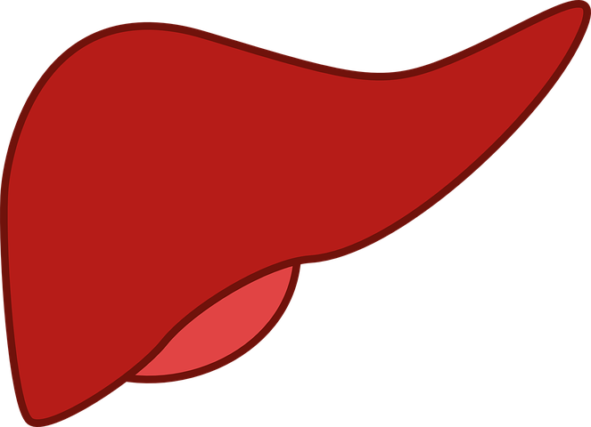 Fatty Liver – The Silent Disease