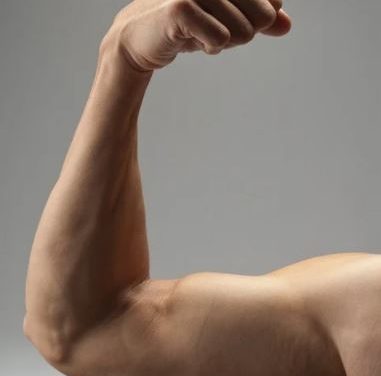 Could Weight Management Medication Grow Muscle and Shed Fat?