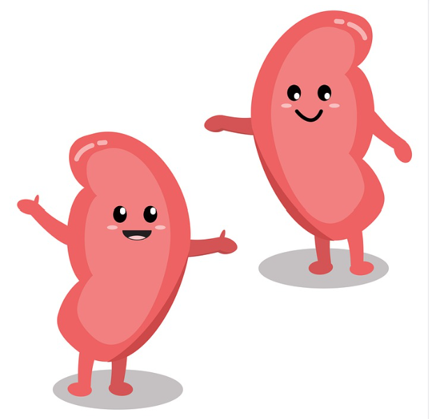 Let’s Keep Kidneys Happy! Targeting urine albumin as a treatment goal in diabetes
