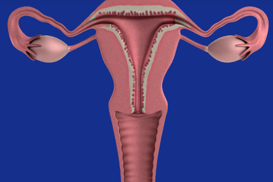 Could women have reproductive concerns related to elevated weight that is NOT PCOS? Introducing FOSH.