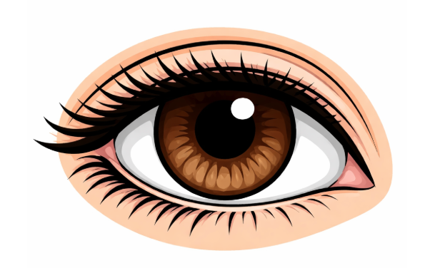 Update: Can GLP1 medications cause loss of vision (NAION)?